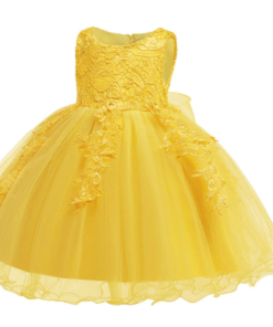 VESTIDO DE ENCAJE EN ORGANZA CON APLICACIONES